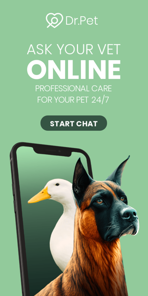 Szablon reklamy banerowej — Frag Deinen Tierarzt Online — Professionelle Betreuung für Dein Haustier 24/7