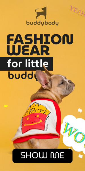 Banner ad template — Fashion Wear For Little Buddy — Pet Shop
