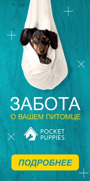 Шаблон рекламного баннера — Забота о вашем питомце — зоомагазин