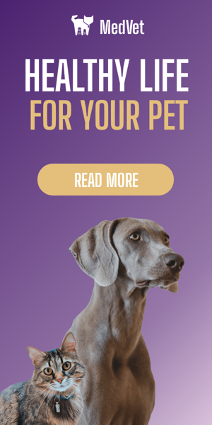 Banner ad template — Healthy Life — For Your Pet