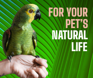 For Your Pets Natural Life — Pet Shop