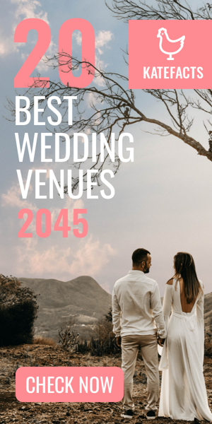 Szablon reklamy banerowej — 20 Beste Hochzeitslocations 2045 — Lifestyle-Blog