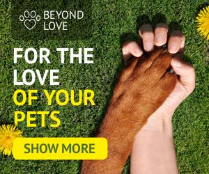 For The Love Of Your Pets — Pet Shop