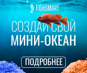 Создай свой мини океан  — зоомагазин