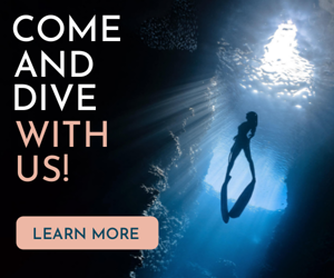 Come And Dive With Us — Travel Agency