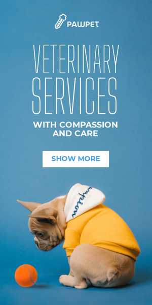 Banner ad template — Veterinary Services — With Compassion And Care
