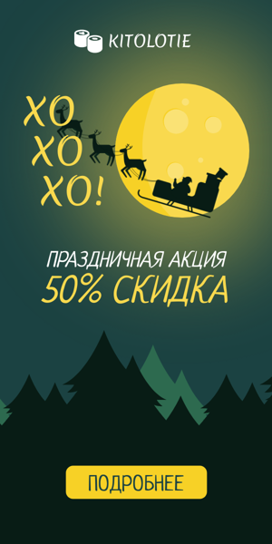 Шаблон рекламного баннера — Праздничная акция  — 50% скидка