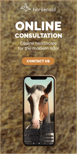 Banner ad template — Online Consultation — Equine Healthcare For The Modern Rider