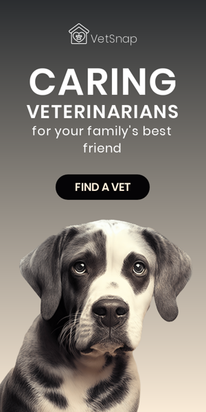 Banner ad template — Caring Vets — For Your Family's Best Friend