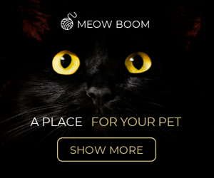 A Place For Your Pet — Pet Shop