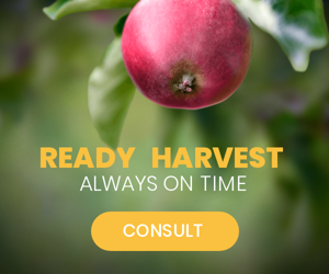 Ready Harvest Always On Time — Agriculture