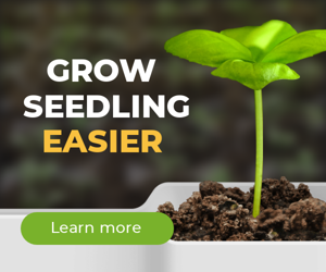 Grow Seedling Easier — Agriculture