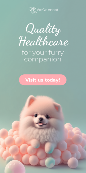Banner ad template —  Quality Healthcare — For Your Furry Companion