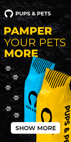 Banner ad template — Pamper Your Pets More — Animal Feed