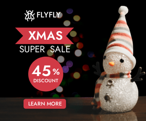 Xmas Super Sale — 45% Discount
