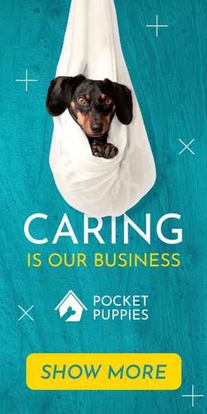 Banner ad template — Caring Is Our Business — Pet Shop