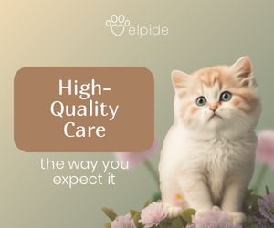High-Quality Care  — The Way You Expect It