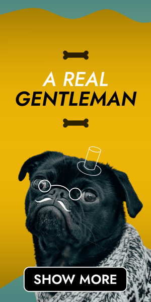 Szablon reklamy banerowej — Lass uns deinen Hund zum echten Gentleman machen — Tiertraining