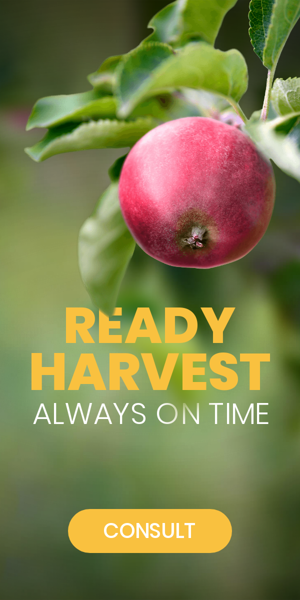 Banner ad template — Ready Harvest Always On Time — Agriculture