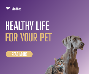 Healthy Life — For Your Pet