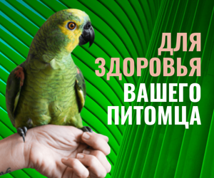 Для здоровья вашего питомца — зоомагазин