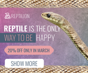 Reptile Is The Only Way To Be Happy — 20% Off Only In March