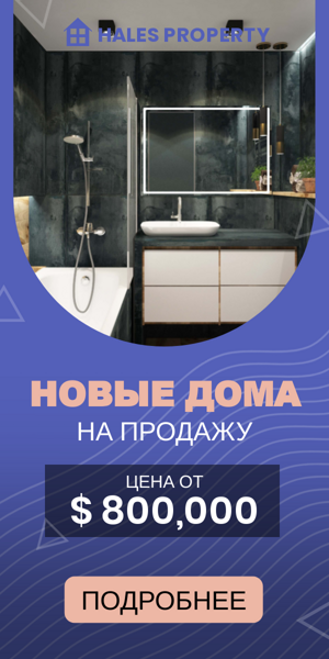 Шаблон рекламного баннера — Новые дома на продажу — цена от $ 800,000