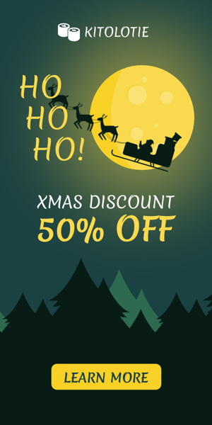 Banner ad template — Xmas Discount — 50% Off